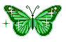 butterfly76
